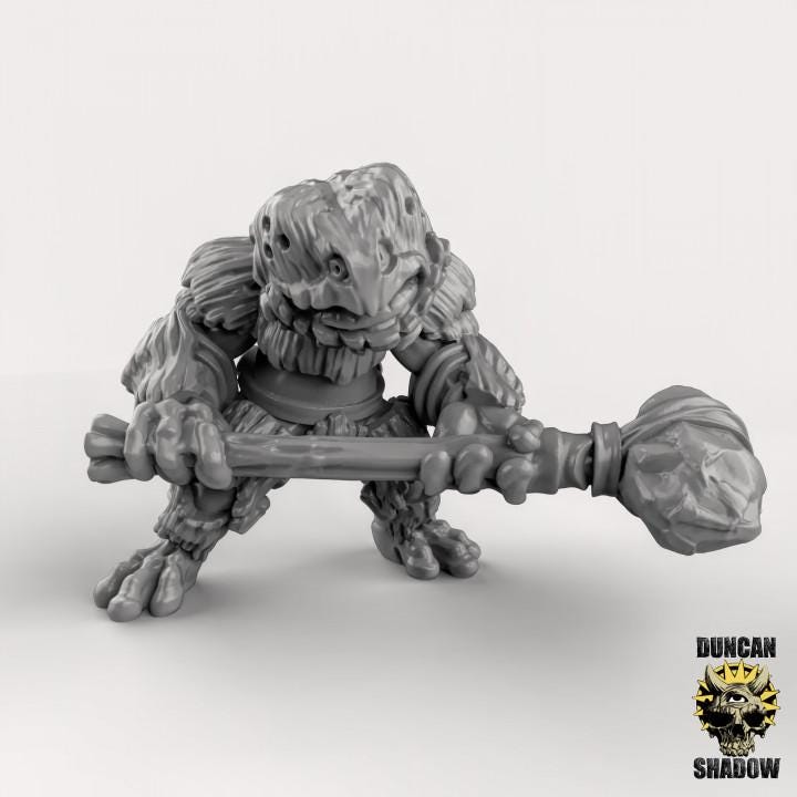 Frog Folk with Great Hammer | Duncan Shadow | PathFinder | Mini | Tabletop Wargaming | Dungeons and Dragons | Resin | Fantasy | RPG