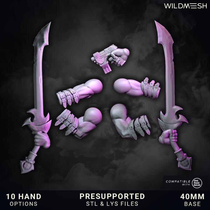 Chaos Excess - Shards of Excess - Grimdark Sci-Fi Fantasy Figure for Tabletop Wargaming & Collectibles, Wildmesh