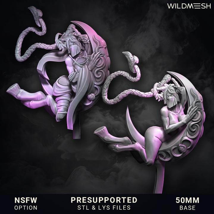 Chaos Demon Prince/Princess Duo! Chaos Demons - Succubus - Whipbound Duet  - NEW Wildmesh release June 5 Tabletop Wargaming for Grimdark OPR