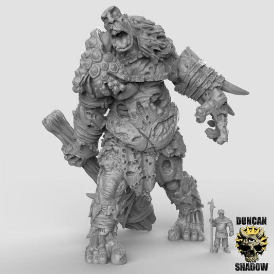 Undead Chaos Titan | Duncan Shadow | PathFinder | Mini | Tabletop Wargaming | Dungeons and Dragons | Resin | Fantasy | RPG