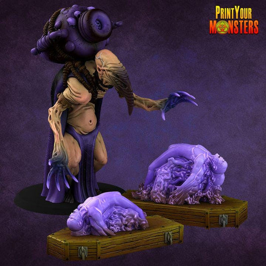 Soul Collector | for Fantasy | Grimdark | for DnD RPG | Sci -fi resin mini | Print your Monster