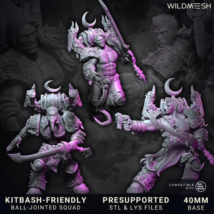 Chaos Excess - Shards of Excess - Grimdark Sci-Fi Fantasy Figure for Tabletop Wargaming & Collectibles, Wildmesh