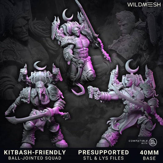 Chaos Excess - Shards of Excess - Grimdark Sci-Fi Fantasy Figure for Tabletop Wargaming & Collectibles, Wildmesh