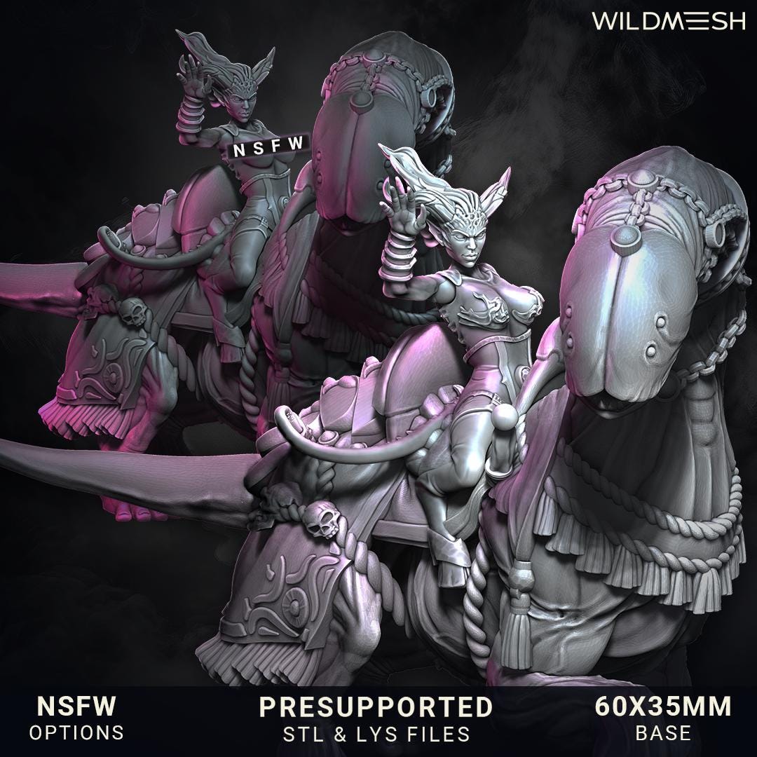 Chaos Demon Succubus (Abyssal Stalkers) Riders of Excess - Unit 2 - Wildmesh - May 25 Tabletop Wargaming for Grimdark OPR Sci-fi