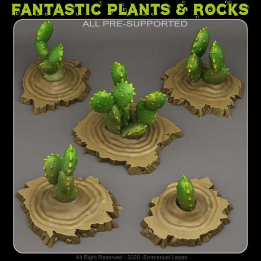 Egyptian Cactuses | Fantastic Plants and Rocks | PathFinder | Mini | Tabletop Wargaming | Dungeons and Dragons | Resin | Fantasy | RPG