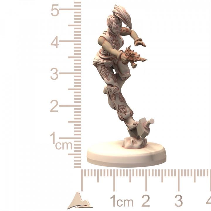 DAIXIYA Acrobatic Harlequin Chinese Wuxia Martial Artist Troupe - Printerra Studios - Tabletop Wargaming Miniature for Grimdark OPR Sci-fi