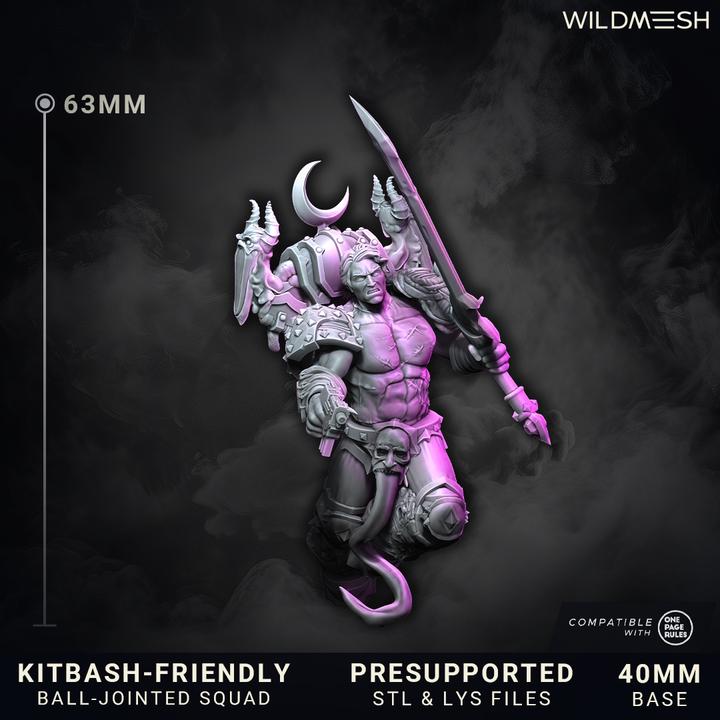 Chaos Excess - Shards of Excess - Grimdark Sci-Fi Fantasy Figure for Tabletop Wargaming & Collectibles, Wildmesh