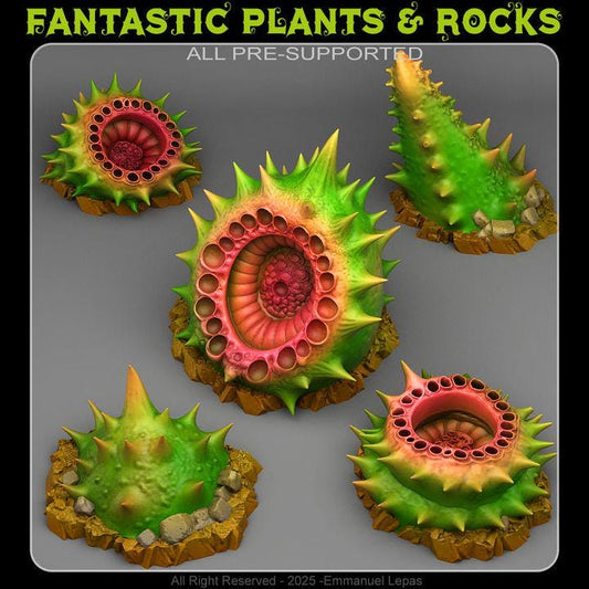 Carnivorous Husk Spikes Scatter Terrain Objectives - Fantastic Plants and Rocks | PathFinder | Mini | Dungeons and Dragons Fantasy Grimdark