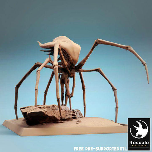 Alien Parasite | DND | TTRPG | Rescale Miniatures | 4 Sizes | PathFinder | Mini | Tabletop Wargaming | Dungeons and Dragons | Fantasy | RPG
