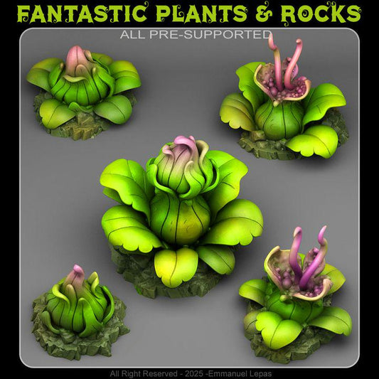 Jungle Carnivorous Plants Scatter Terrain Objectives Fantastic Plants and Rocks | PathFinder | Mini | Dungeons and Dragons Fantasy Grimdark