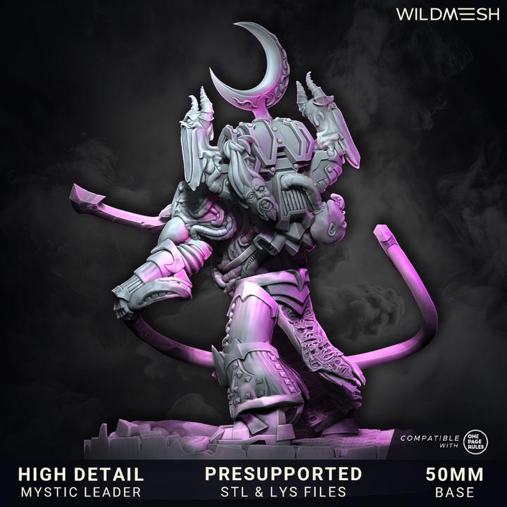 Chaos Excess - Caedor Valis Release - August 25 Release - Wildmesh Tabletop Wargaming for Grimdark Alternative OPR